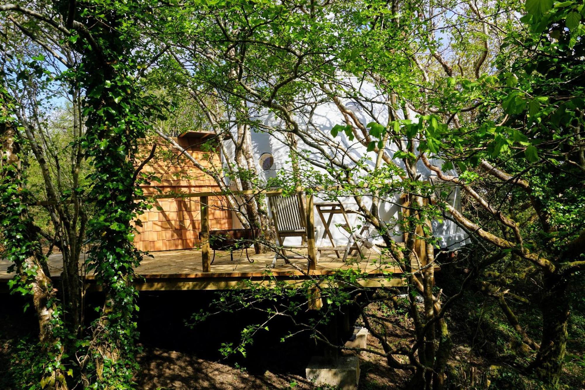 Fernwood Villa Clifden Cameră foto