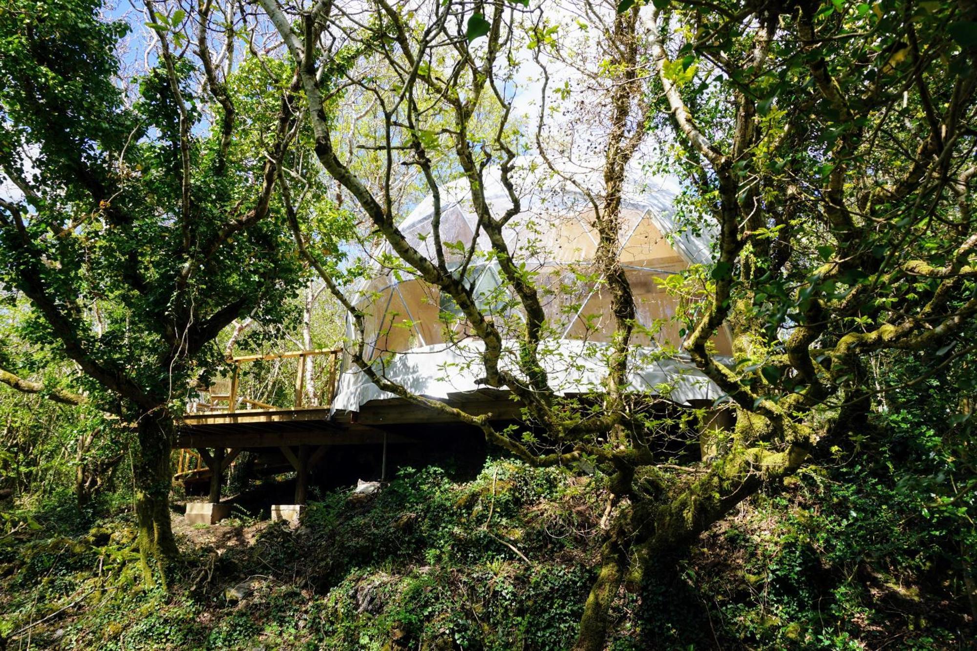 Fernwood Villa Clifden Cameră foto